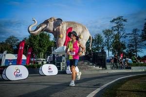 BIB: 
                            <button type="button" onclick="openModal(26541765)" class="btn btn-primary btn-sm float-right btn-popup" data-toggle="modal" data-target=".modal-high-quality">
                        <i class="fas fa-shopping-cart"></i> Add to Cart
                    </button>
                                            <button type="button" onclick="isThisMe(26541765, true)" class="btn btn-success btn-sm float-right btn-popup btn-isme hidden" data-toggle="tooltip" data-placement="bottom" title="นี่คือรูปของคุณใช่ไหม คลิกที่นี่เพื่อเอาเข้าอัลบั้ม">
                        <i class="fas fa-plus"></i> Add to album
                    </button>
                    <button type="button" onclick="isThisMe(26541765, false)" class="btn btn-warning btn-sm float-right btn-popup btn-isnotme hidden">
                        <i class="fas fa-ban"></i> Remove from album
                    </button>